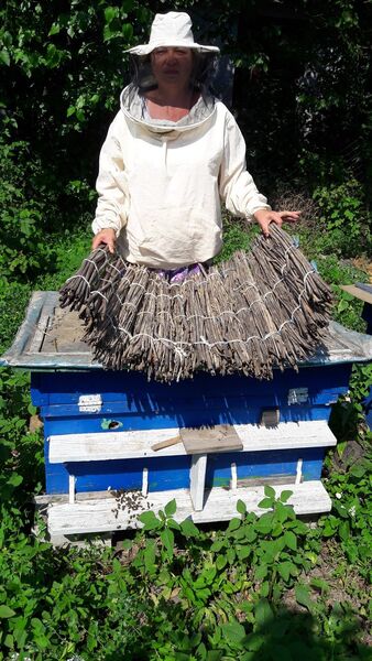  ,   , 55 ,   ,   , c 