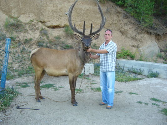  ,   , 49 ,   ,   , c 