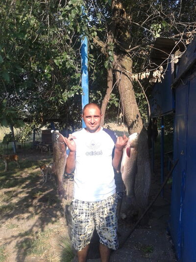  ,   , 43 ,   ,   , c , 