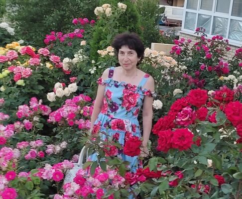  --,   , 65 ,   