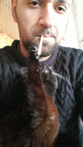  ,   , 32 ,   ,   , 