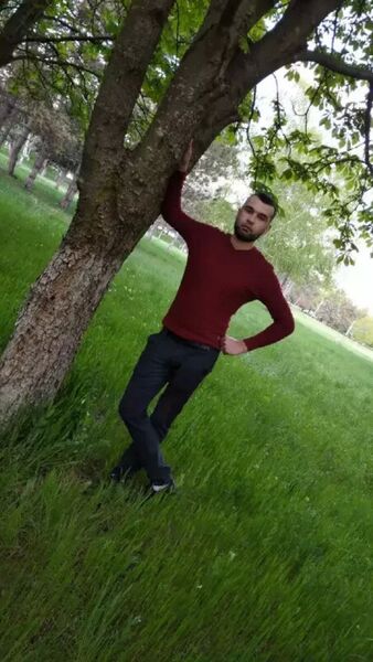  -,   , 31 ,   ,   