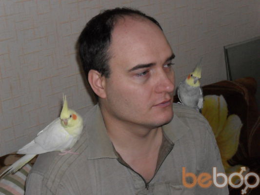 ,   , 51 ,   