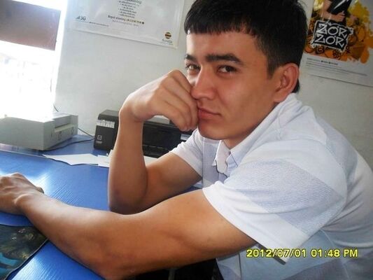 ,   Doni, 34 ,     , c 