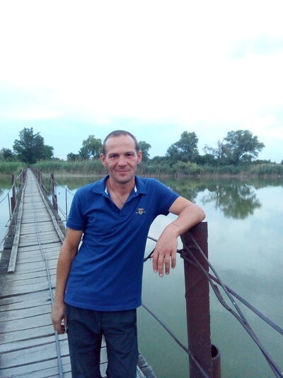  ,   Vit, 48 ,   