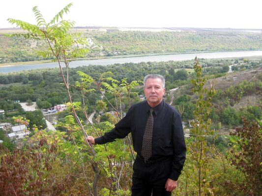  ,   Slavean, 71 ,  