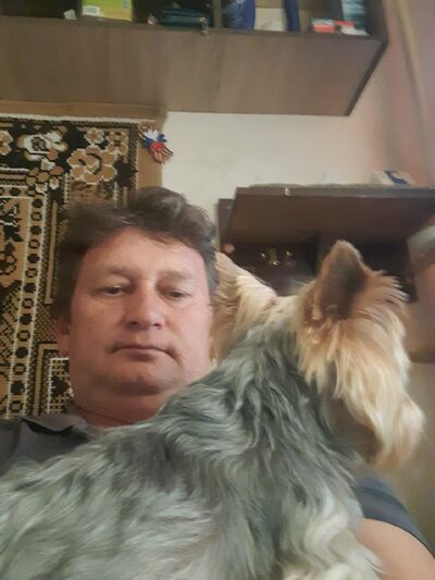  ,   , 53 ,   c 