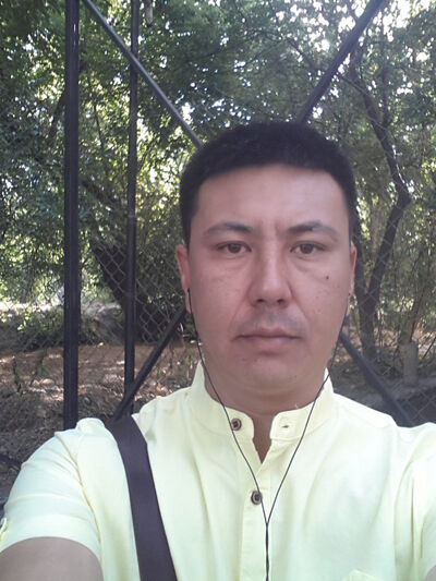  ,   , 43 ,  