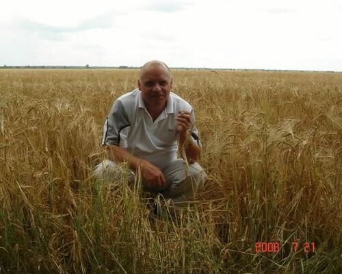  ,   Aleksandr, 64 ,     , c 
