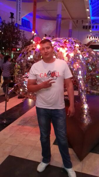  ,   Lion, 33 ,  