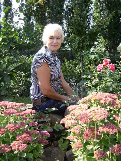  ,   , 68 ,     , c , 