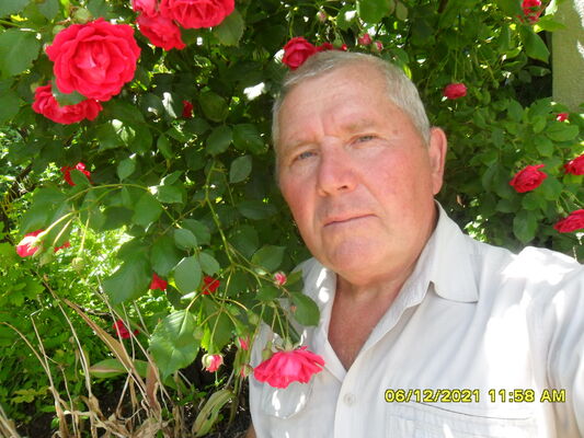  ,   , 70 ,     , c 