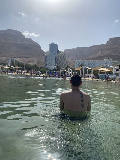  Ashqelon,   , 33 ,   ,   , c , 