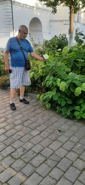  ,   , 68 ,   ,   , 