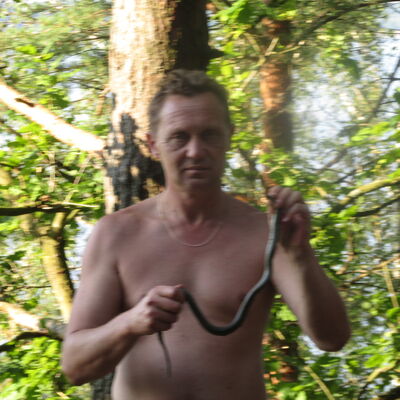  ,   , 55 ,   