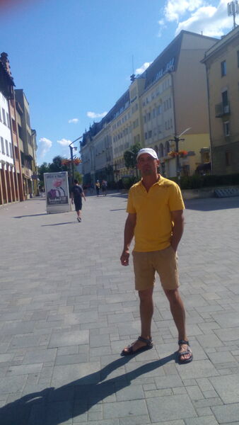  Sommerhausen,   , 41 ,  
