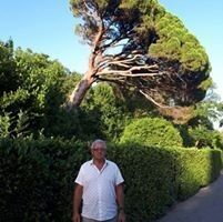  ,   Vladimir, 65 ,   ,   , c 