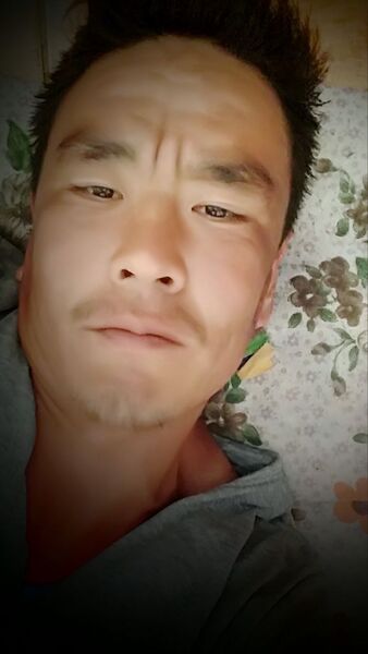  -,   , 37 ,   ,   