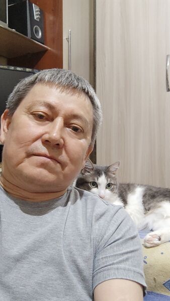  ,   , 61 ,   ,   , c , 