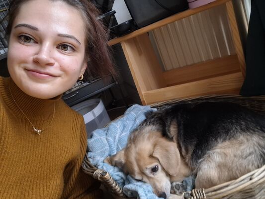  's-Gravendeel,   , 26 ,   c 