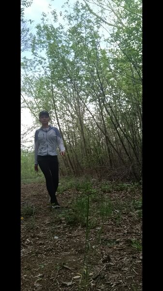  --,   , 46 ,   ,   