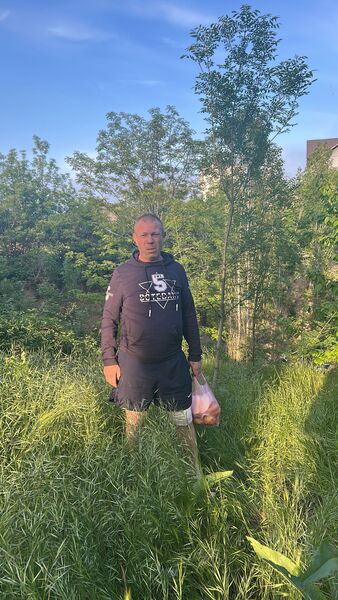  ,   , 50 ,   ,   , c , 