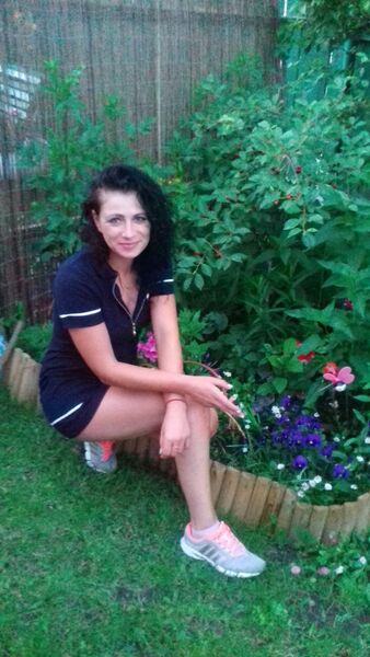  ,   , 44 ,  