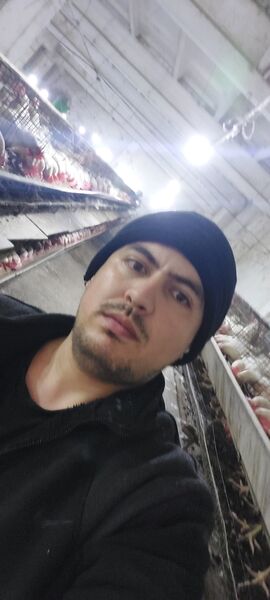  ,   Ali, 27 ,   ,   