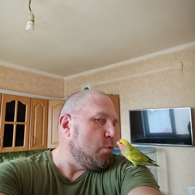  -,   , 47 ,   ,   