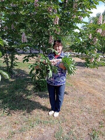  54228373  , 71 ,    Deleted