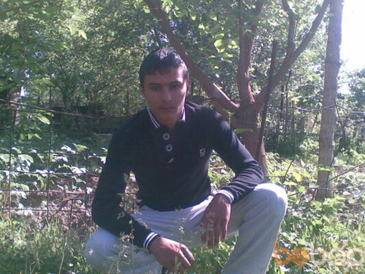  ,   DALER, 33 ,   ,   , c 