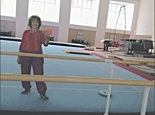  ,   Alla, 65 ,   ,   , c 
