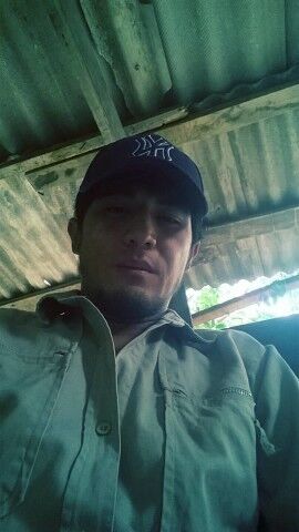  ,   , 33 ,   