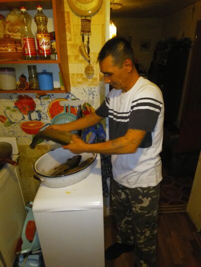  -,   , 51 ,   ,   , c 