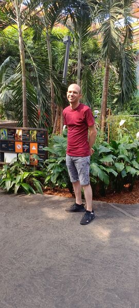  Brzezie,   , 37 ,   ,   , c 