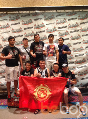  3264483  Demo 123, 40 ,    