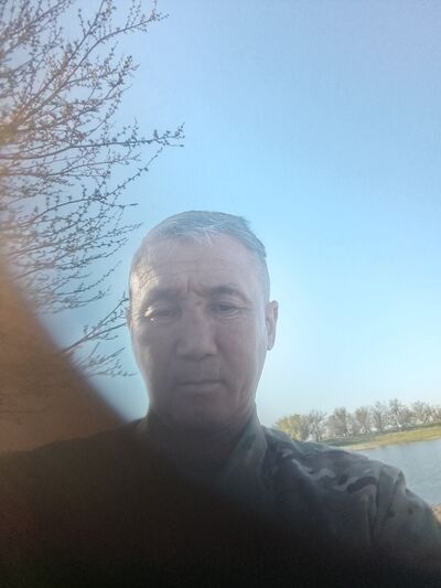 Novy,   , 50 ,   ,   