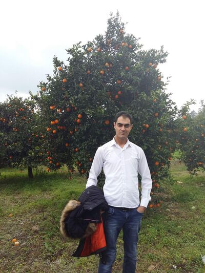  ,    , 39 ,   ,   