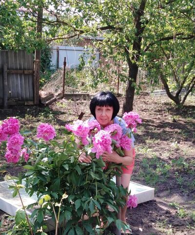  ,   , 62 ,   ,   , c 