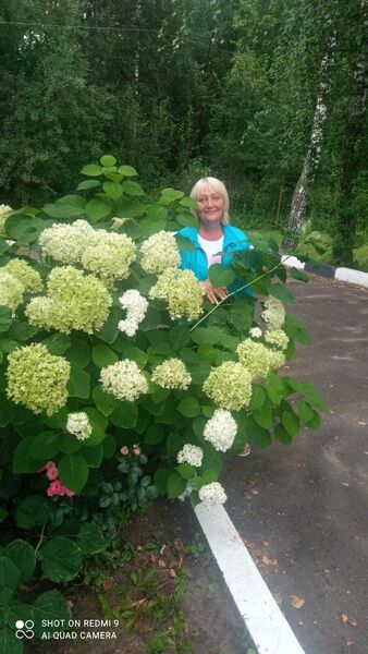  ,   , 61 ,   ,   