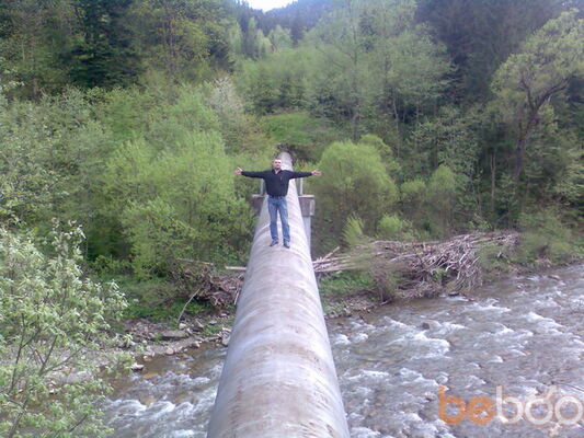  -,   Bondbond, 43 ,   