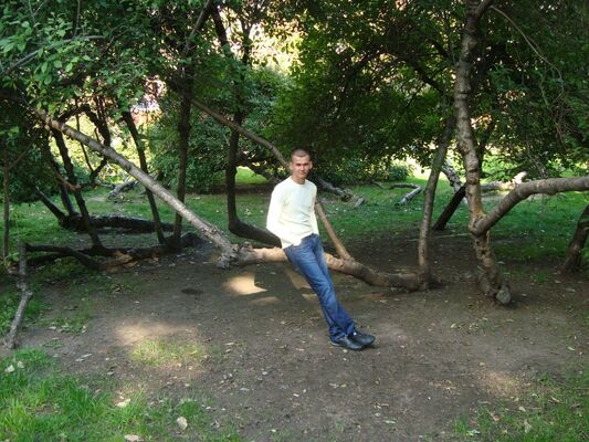  -,   , 41 ,   ,   , c , 