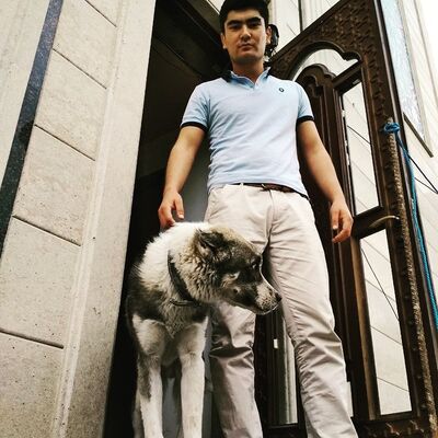  ,   Alisher, 31 ,   ,   , c 