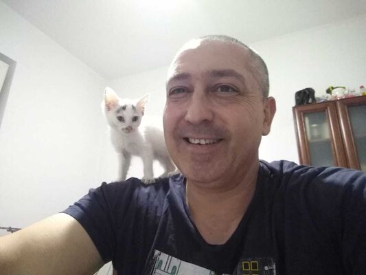  ,   , 46 ,   ,   