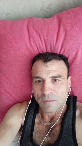  -,   , 46 ,   ,   