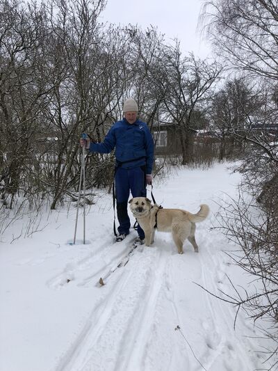  ,   Dmitrij, 70 ,     , c 