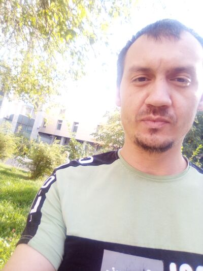  -,   Zawr, 31 ,   ,   , c , 
