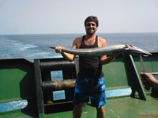  ,   Paata, 53 ,   ,   , c 