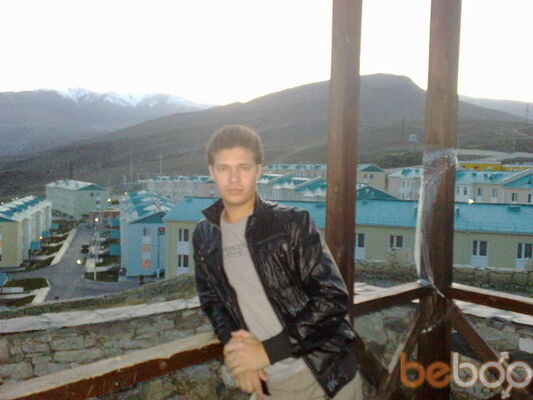  ,   Virus, 41 ,  