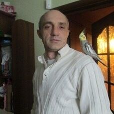  ,   , 50 ,  